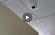 L' Amabile Volpe - Via Carlo Levi 2&2 - Foto 14