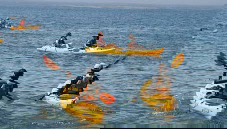 Isla de Sacrificios Kayak & Snorkel Tour - Foto 4