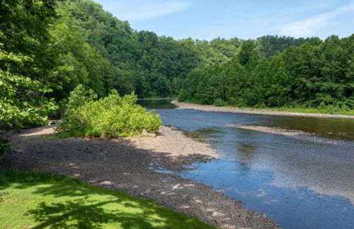 Charming Parsons Cabin with Grill on the Cheat River - Foto 31