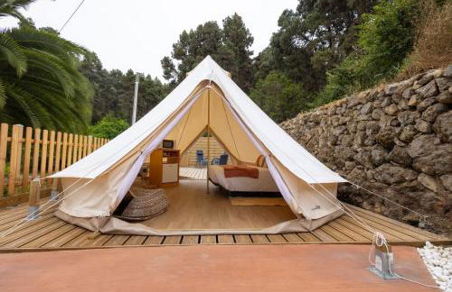 Monte frio de Tenerife - Foto 76