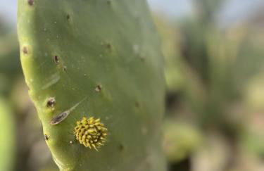 Tea-Rose Loft - Foto 22