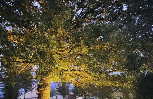 Le Hameau de la Closerie - Foto 24