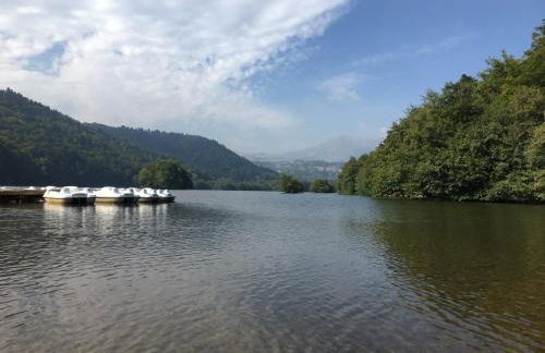 Les terrasses du château de Murol - Studio 4p au pied du château de Murol - Foto 17