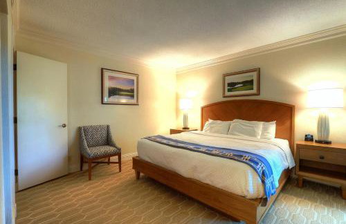 Luxury 1 Bedroom Condo in Palm Harbor Florida 2 Miles From Beach by David Rigney Real Estate Solutions - Foto 16