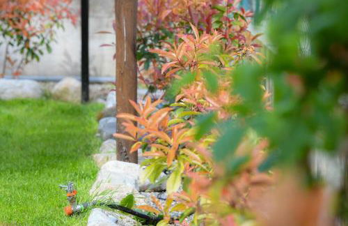 RUSTICO ALLE MURA Love & Bike - Foto 64