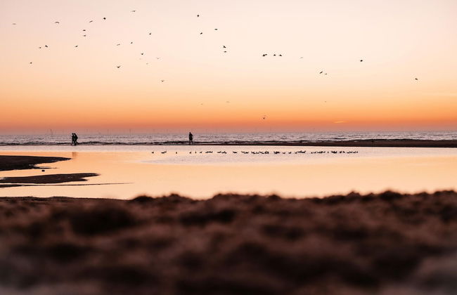 Comfortable Villa With Three Bathrooms, Near Rockanje - Photo 34