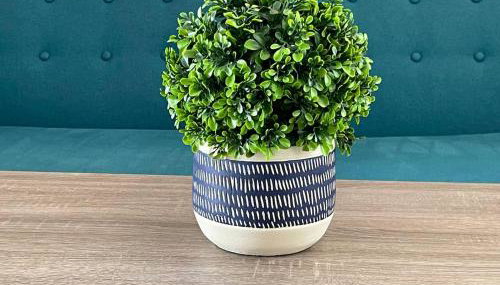 One Bedroom - Near UNM, Nob Hill and downtown - Foto 5