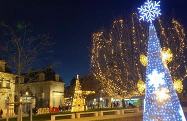 Le Cocon du lion - Foto 30