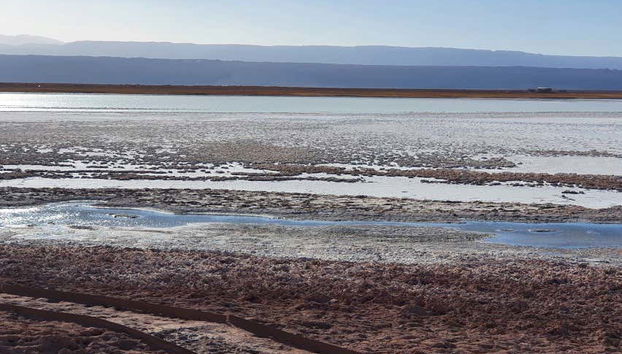 Excursión a la laguna Cejar, Tebenquiche y los Ojos del Salar - Foto 5