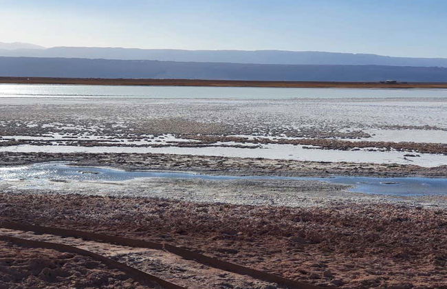Cejar, Tebinquinche & Ojos de Salar Tour - Photo 5