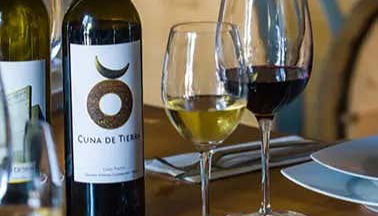 Vinhos Cuna de Tierra