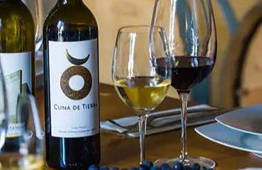 Wine Tour of Guanajuato - Foto 1