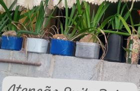 Recanto Privativo Suítes Brisas de Araruama - Região dos Lagos - Photo 27