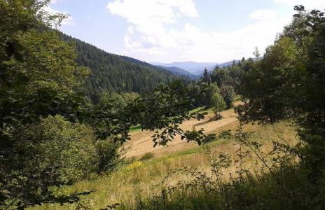 Hope Mountain Escape Poland, Awesome Glamping Tent - Foto 20