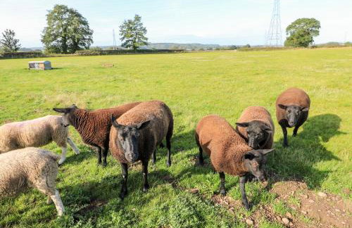 Bluebell Cottage - Foto 46