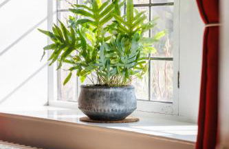 The Old Abbey Farmhouse - Stay at Quarr Abbey Monastery - Pet-Friendly Farmhouse with History & Countryside Views, surrounded by woodland & nature - Photo 33