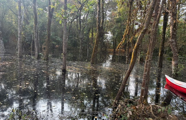 Coorg Tree House - Foto 21