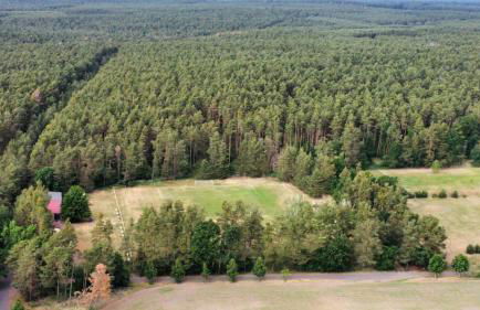 Tiny House am Wald - Foto 19