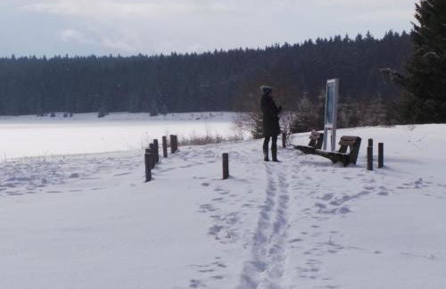 Apartment Fewo Am Skihang OG by Interhome - Foto 20