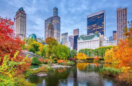 Luxury Three Bedroom apartment in a private house - Foto 36