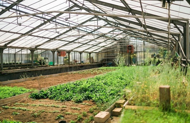 FondoBrugarolo - Foto 35