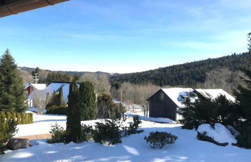 Beautiful apartment & pool Black Forest Häusern 5 people - Foto 20