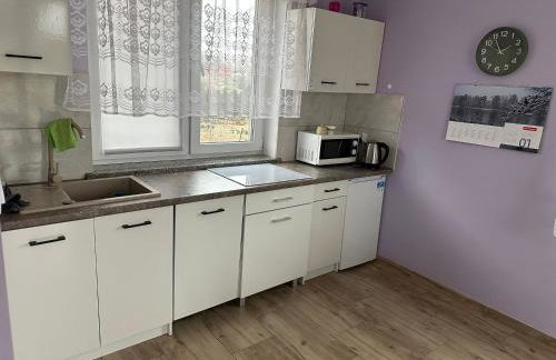 Urokliwe zacisze w Opawie - Foto 2