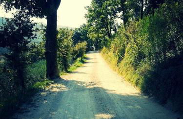 Agriturismo Le Vigne - Foto 25