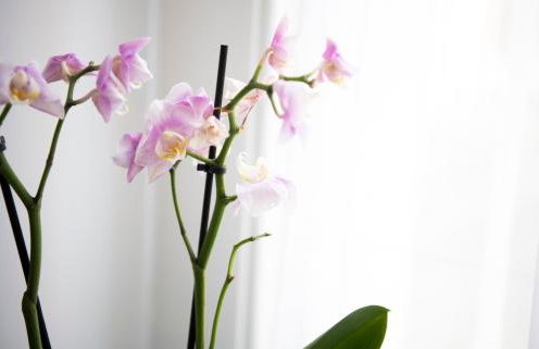 Modern apartment in Leamington Spa City Centre - Foto 17