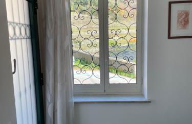 Il Gelso Bianco -The White Mulberry Tree - Foto 8