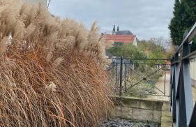 NEU! OASIS - FeWo am Harz, hochwertig Kernsaniert, 83 qm, EG - Foto 32