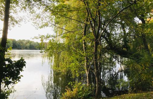 "Glück auf" Lichtdurchflutete schicke Ferienwohnung in Zwickau - Foto 19