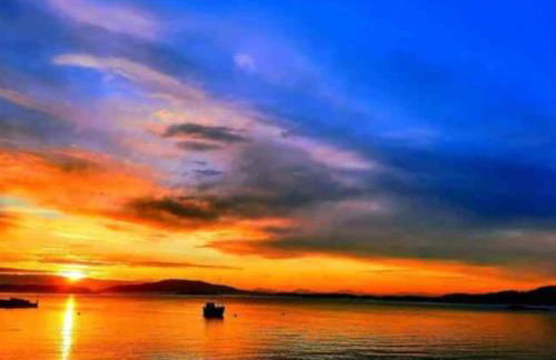 The Singing Heart, TirNaNog Cozy Cottage near Lochgilphead !!HIDDEN GEM!! - Foto 68