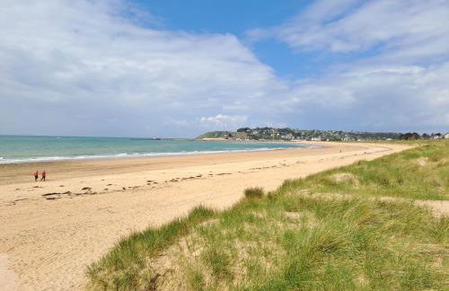 Les Goelettes à 250 m de la plage - Foto 20