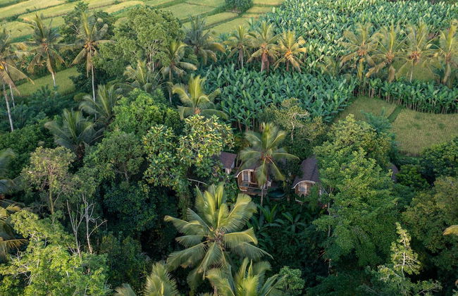 Sacred Canyon Ubud by GenuineHost - Foto 46