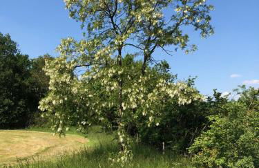 Ferienwohnung Maurer - Foto 19