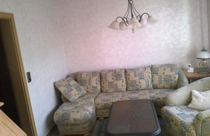 Wachter Ferienwohnung im Frankenwald - Foto 5