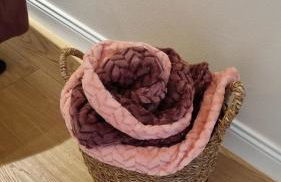 Agriturismo Villa Anna - Foto 15