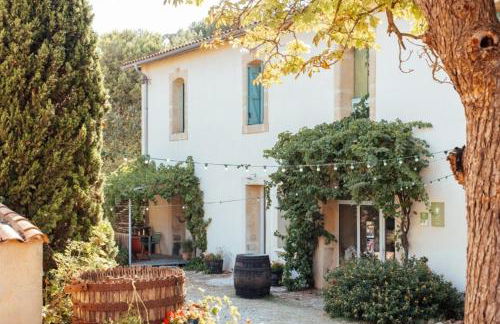 Eco-Friendly Gite In A Wine Estate In Frontignan - Foto 21