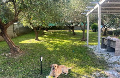 Villa Versilia-Mare e Monti - Foto 18