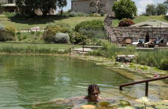 Sasseta Alta - Foto 66