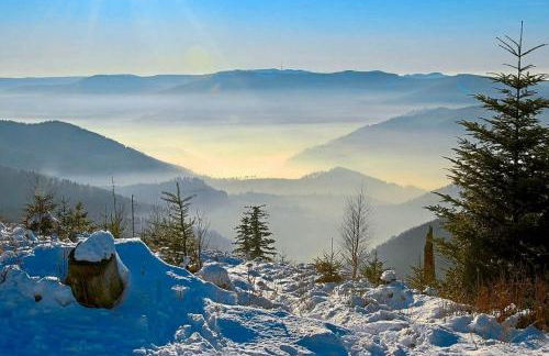 Black Forest Retreat Bad Herrenalb - Foto 34