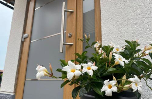 Apartman Mara - Foto 24