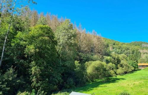 Cosy Holiday Home in the Harz Region - Foto 54