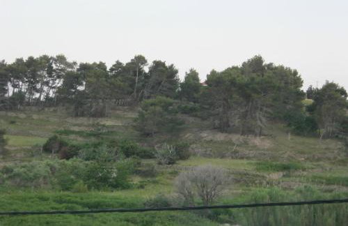 Feel Good Apartment Rab Mundanije 131 - Foto 37