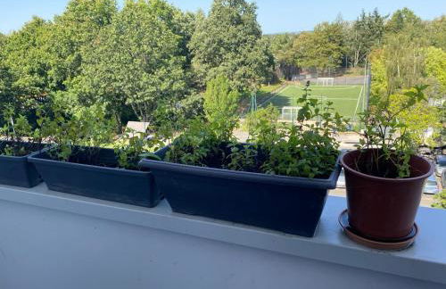 Appartement entier T3# 2 chambres 1 salon - Foto 22