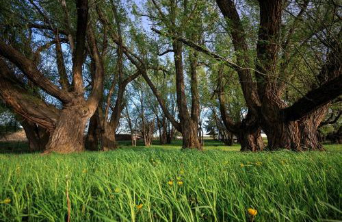 Hillside Colorado Cottages - Foto 59
