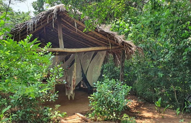 Pousada Pouso das Araras - Foto 78