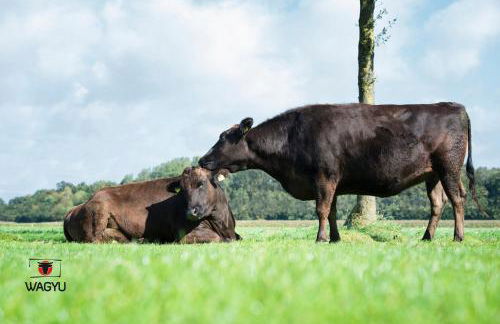 Ferienwohnungen Hof Holtmann - Foto 77