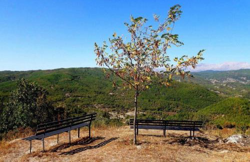 Αρχοντικό στο Διπόταμο - Foto 27